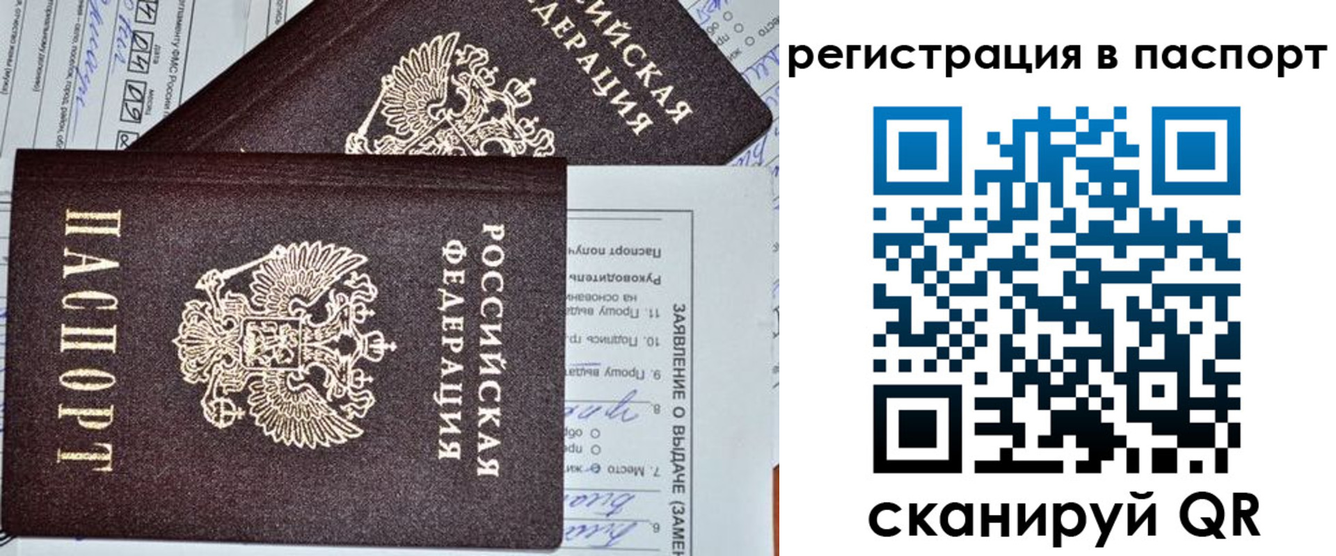 прописка законно в Купино