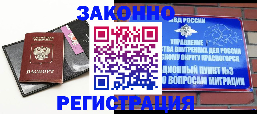 временная регистрация для школы в Купино